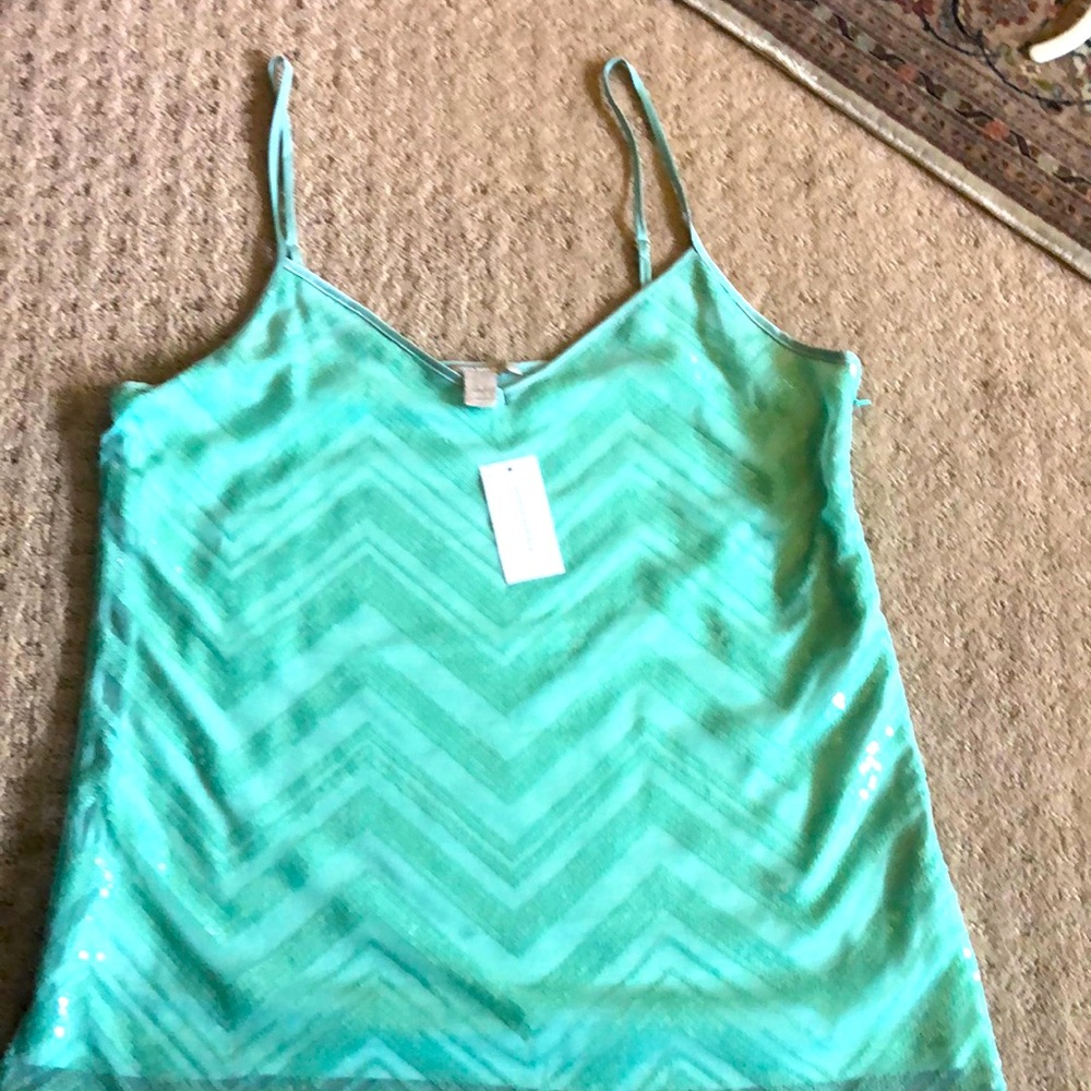 Brand new wity tags sequins tank top! Gorgous!